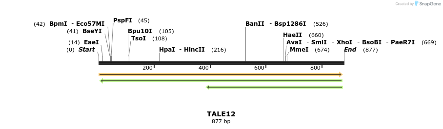 45285_map