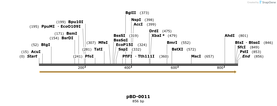 45289_map