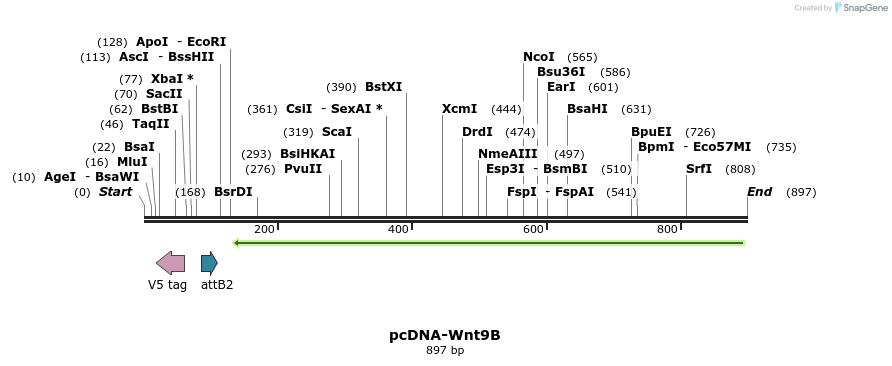 45290_map