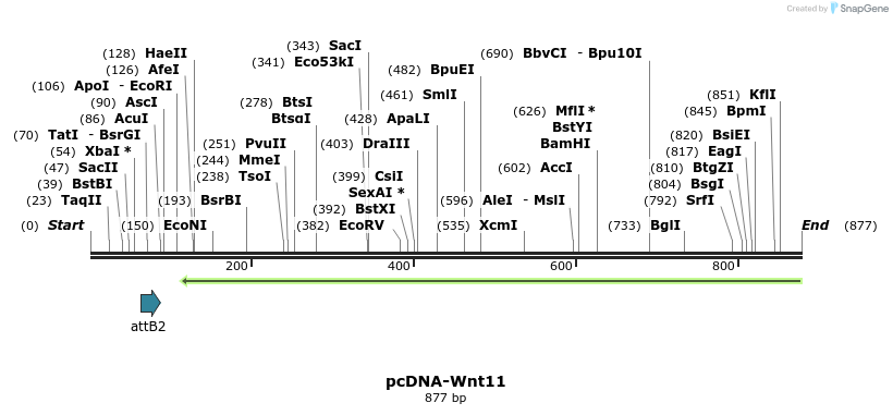45291_map