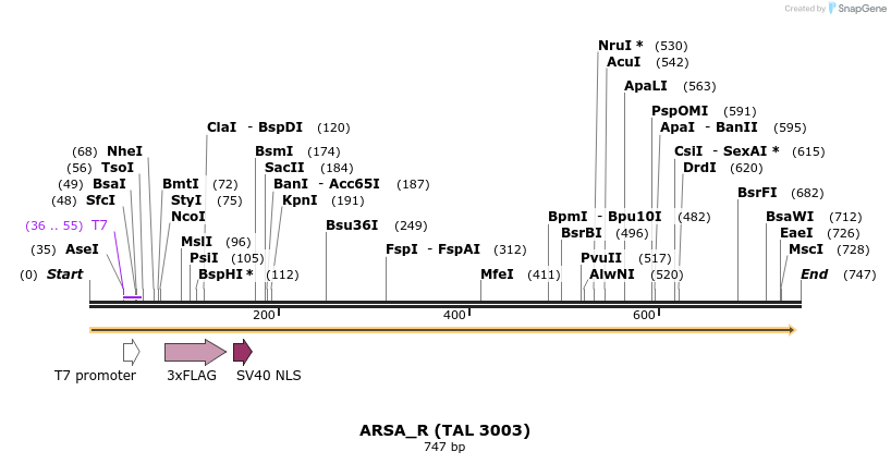 45300_map