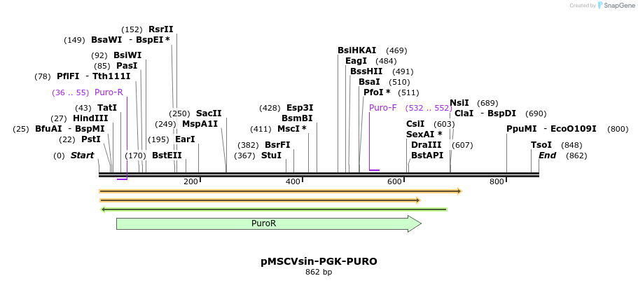 45301_map