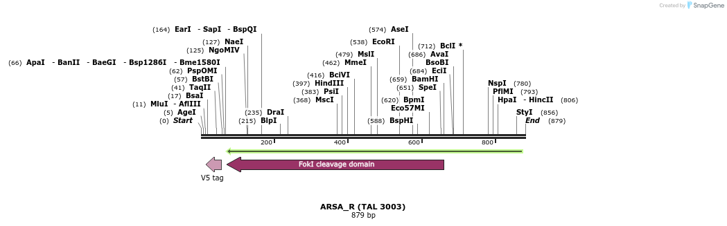 45304_map