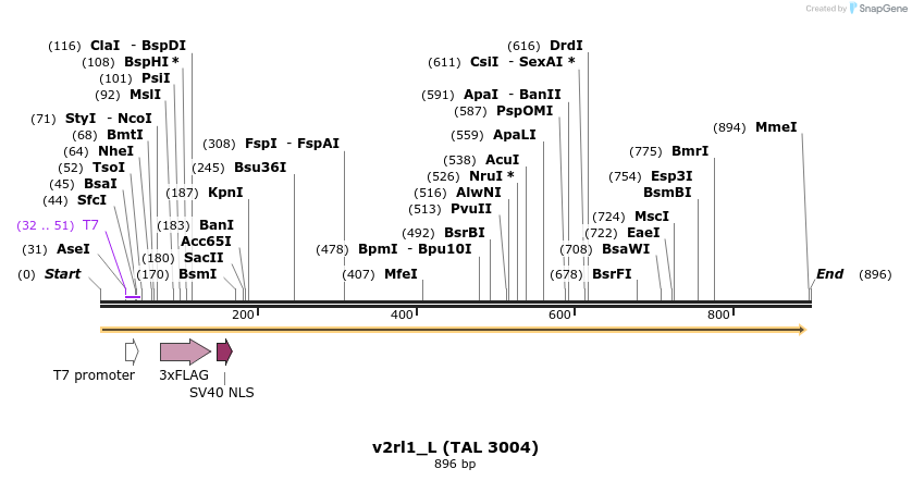 45306_map