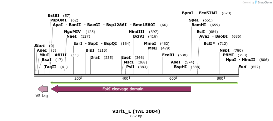45307_map
