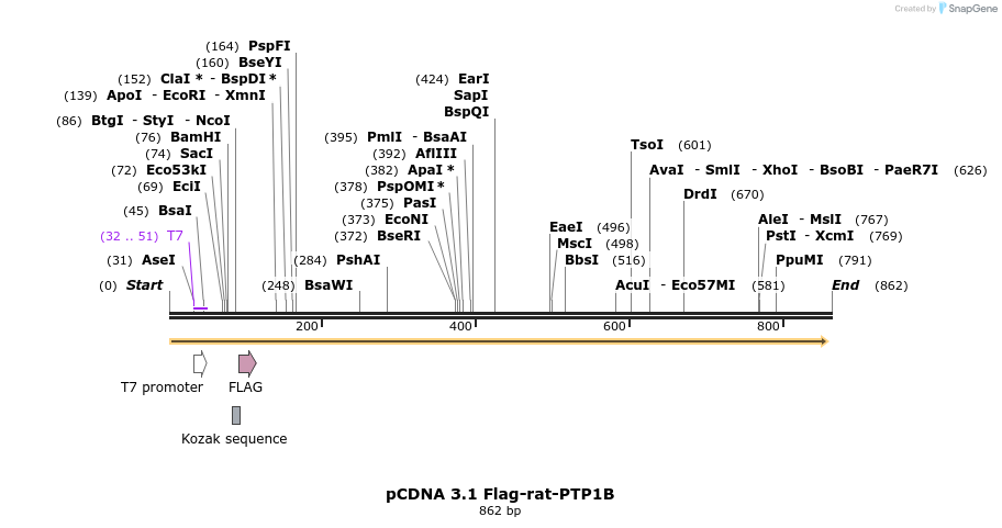 45310_map