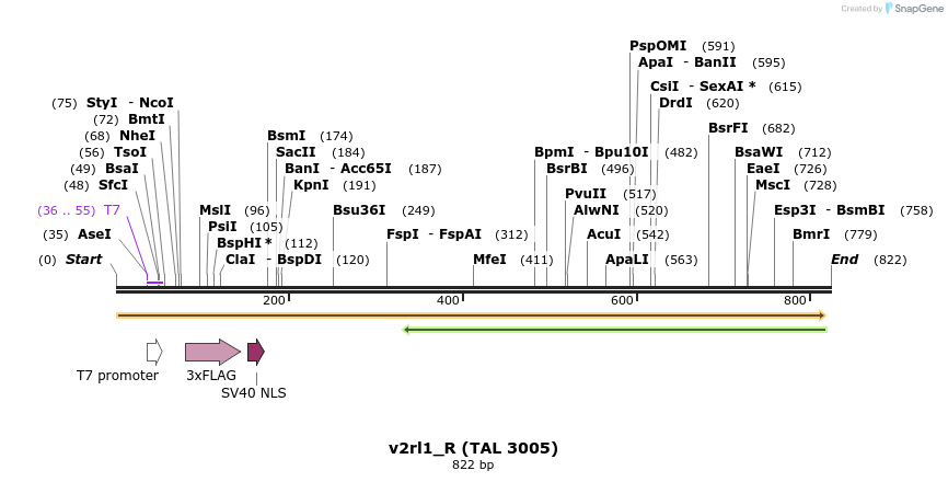 45311_map