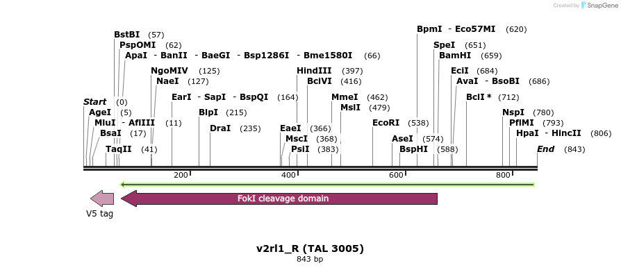 45312_map
