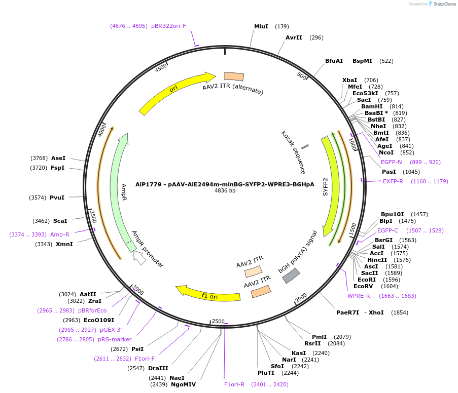453201_map