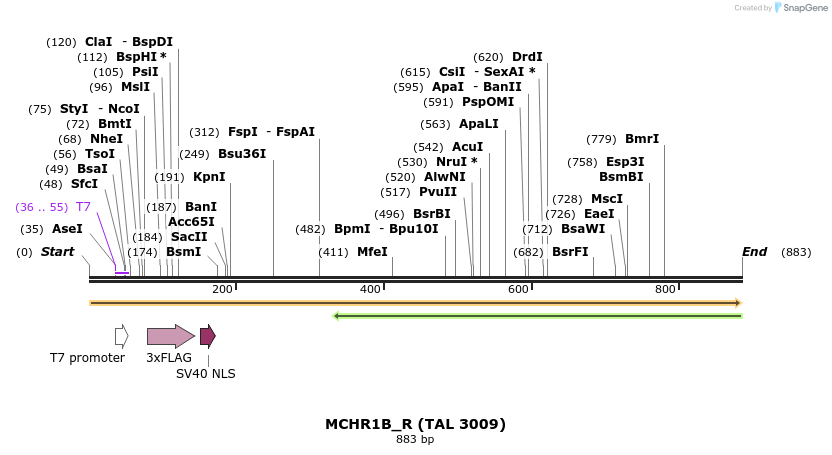 45322_map