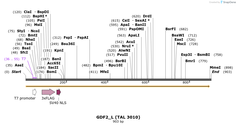 45326_map