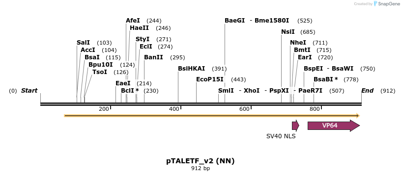 45335_map