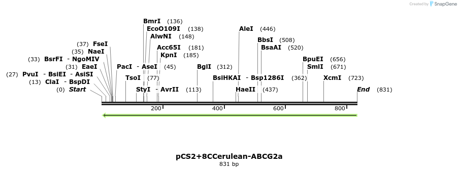 45371_map