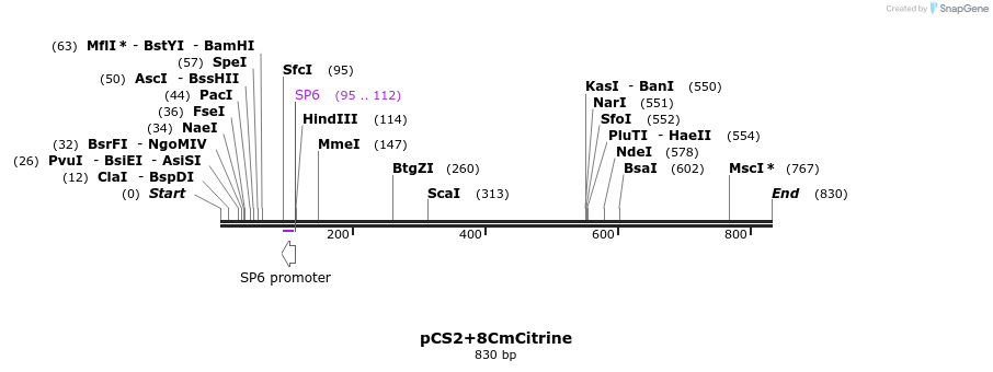 45372_map