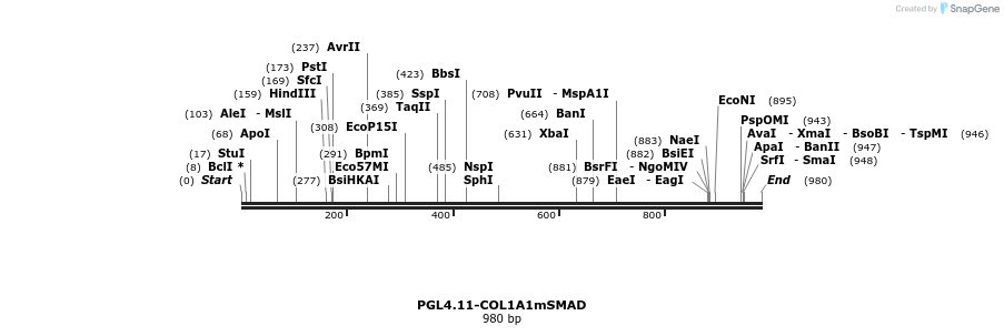 453789_map