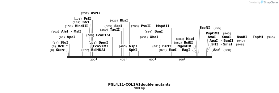 453790_map