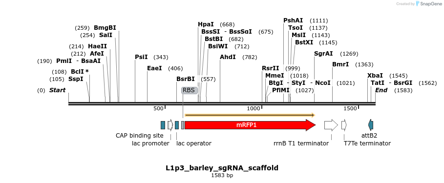 453802_map