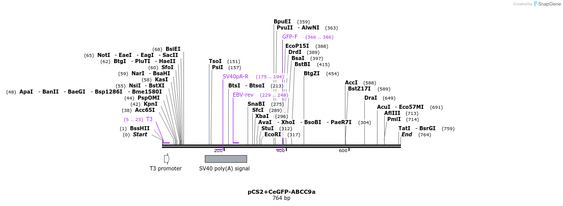 45384_map