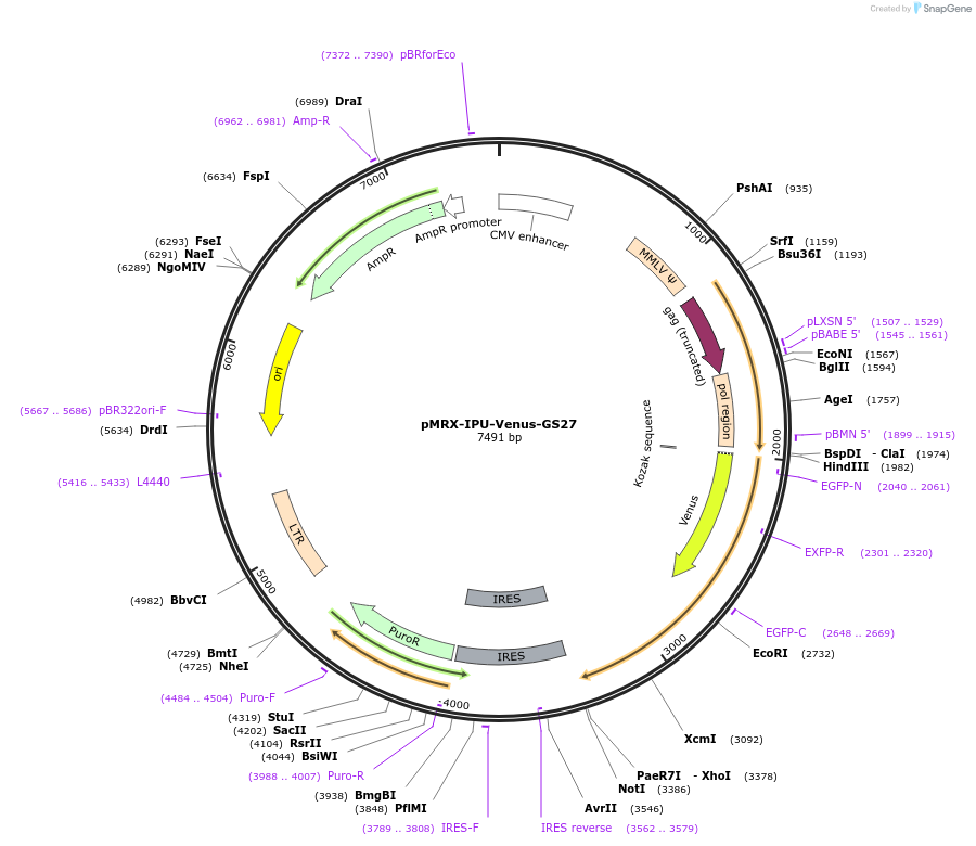 453950_map