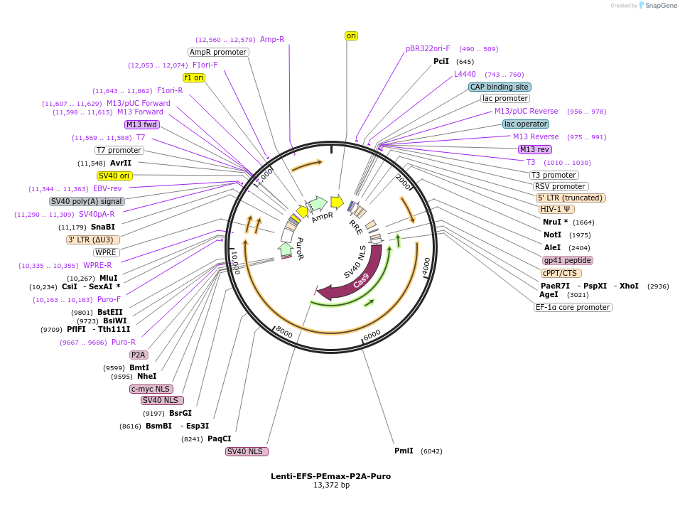 454001_map