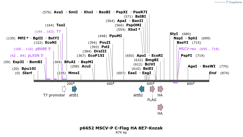 45401_map