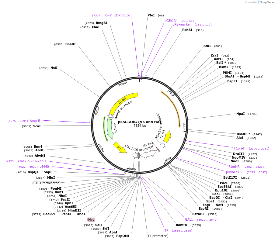 454040_map