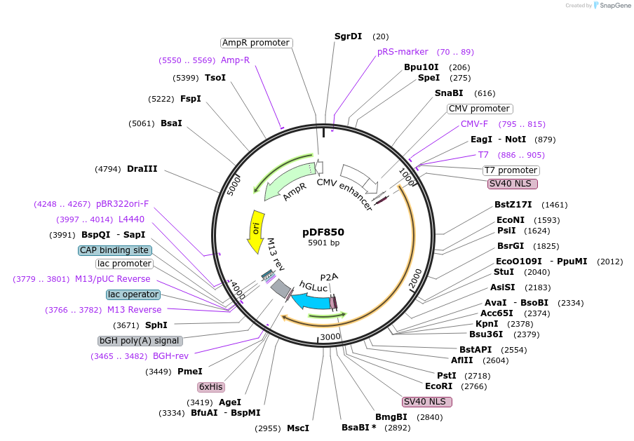 454042_map
