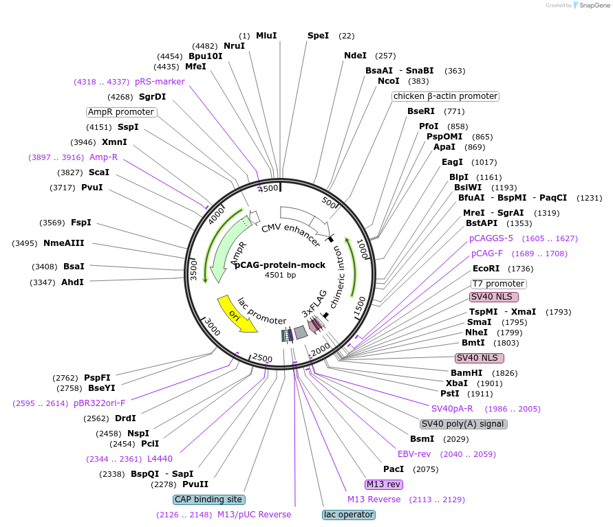 454052_map