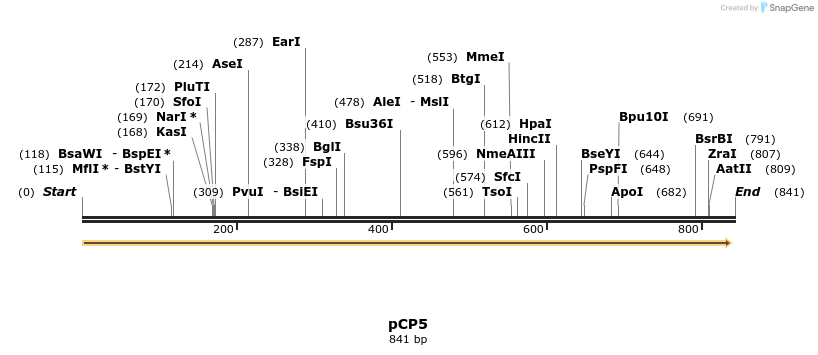 45409_map
