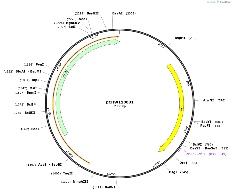 222437-plasmid-map-sequence-id-454095