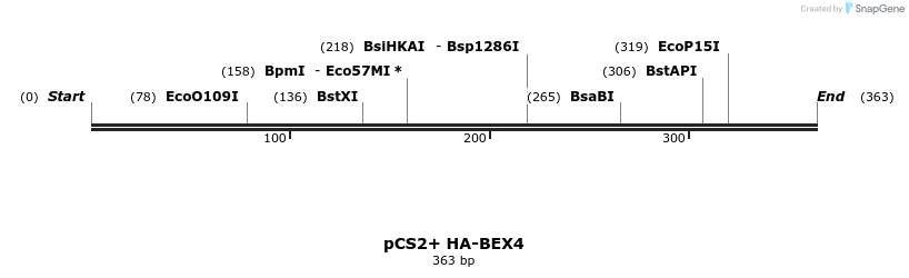454097_map