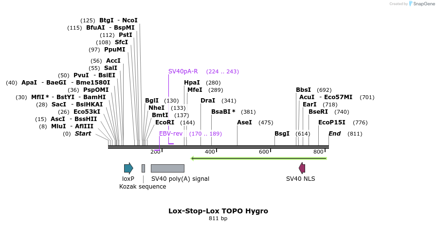 45410_map