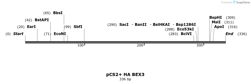 454101_map