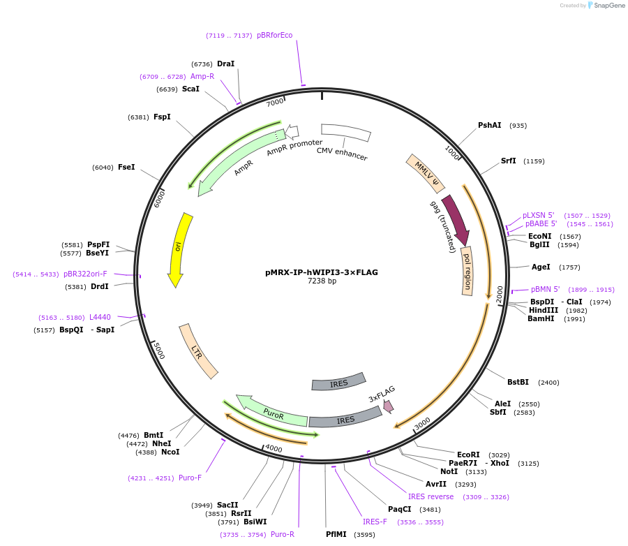 454102_map