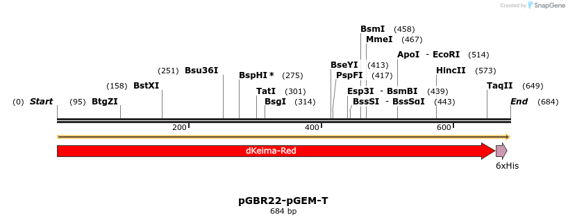 454116_map