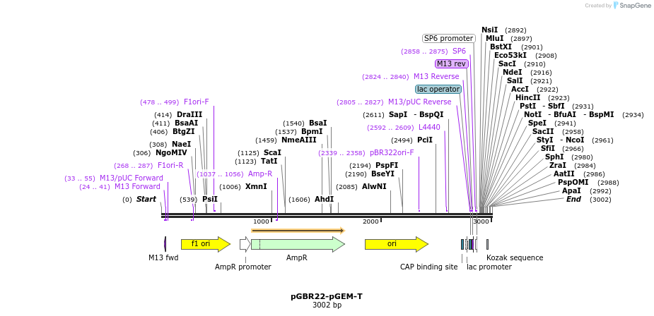 454118_map