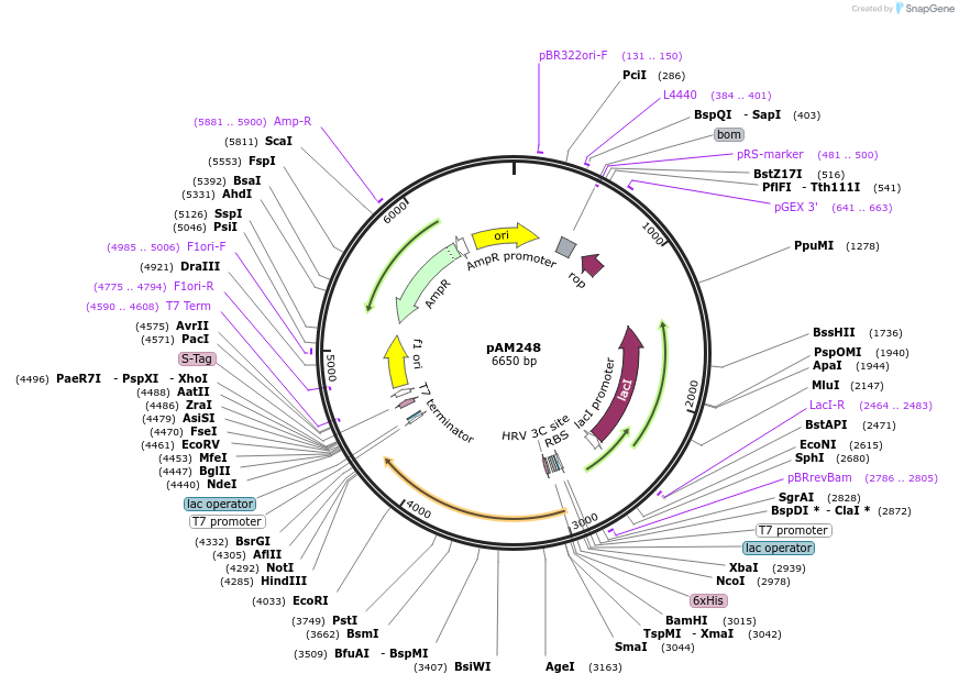 454219_map