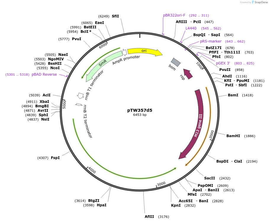 454224_map