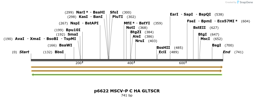 45423_map