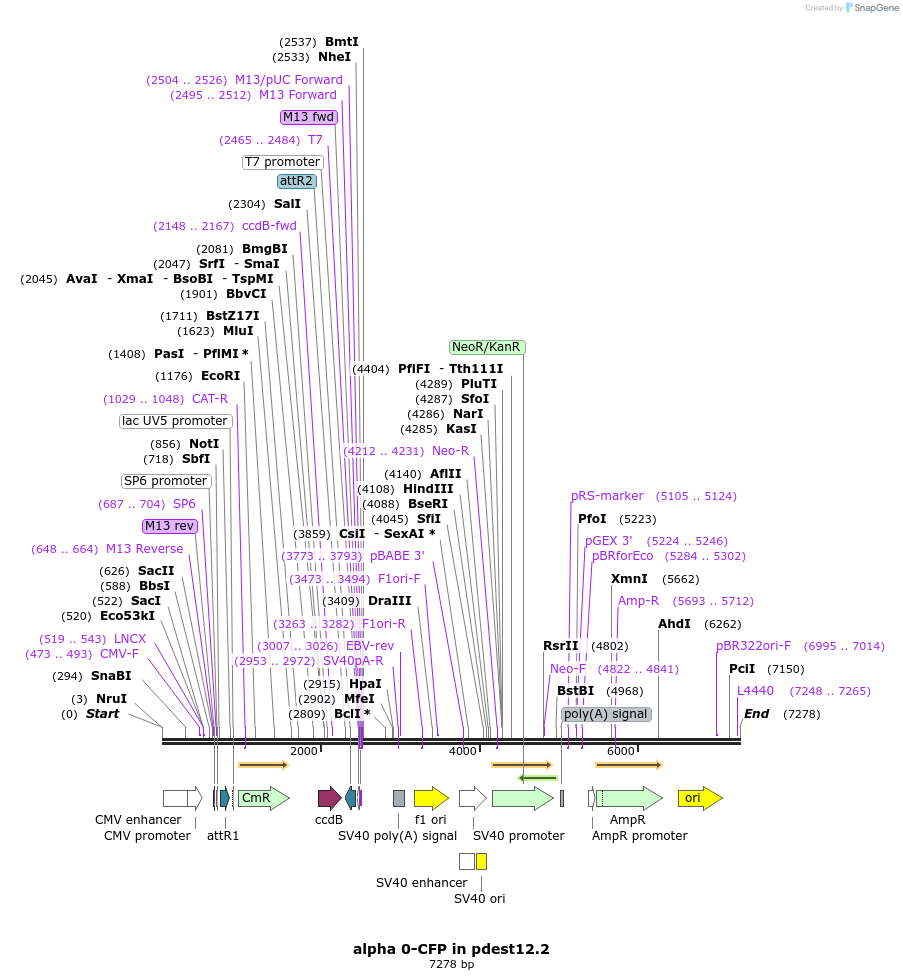 45439_map