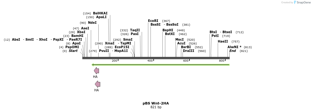 45440_map