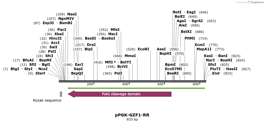 45443_map