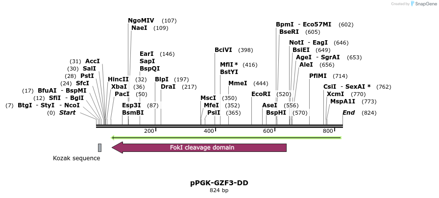 45444_map