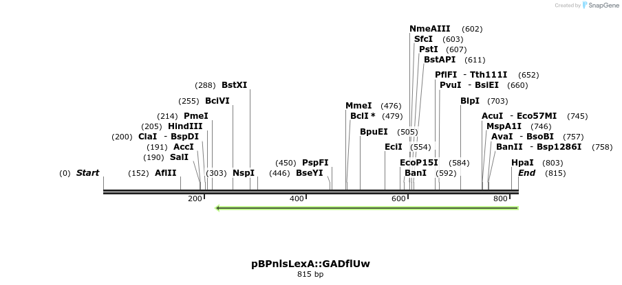 45449_map