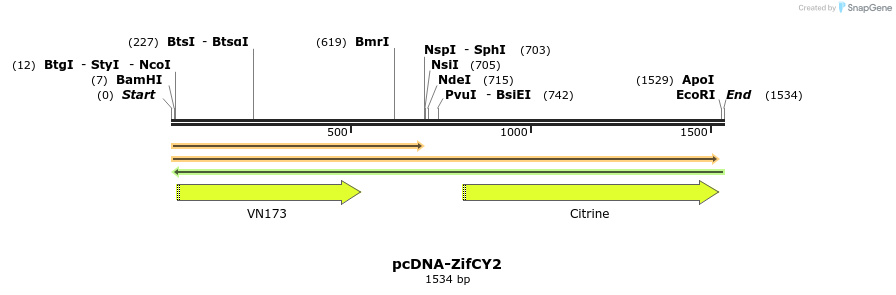 45450_map