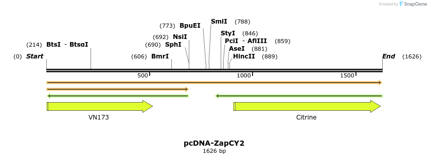 45452_map