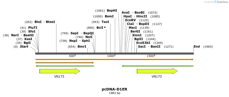 45455_map