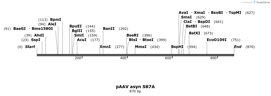 45459_map