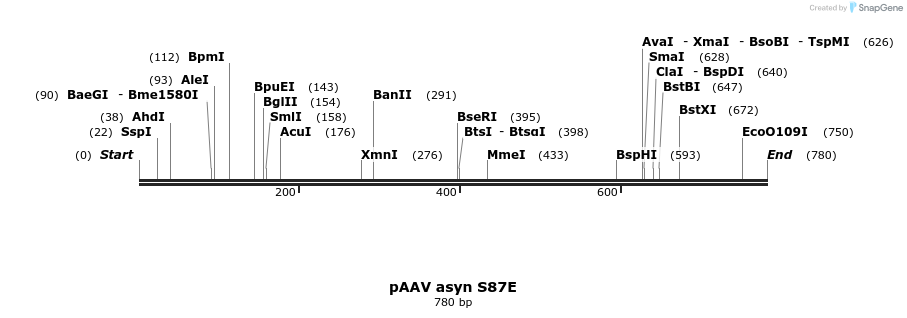 45460_map