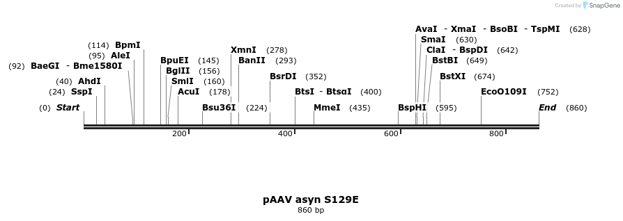 45463_map